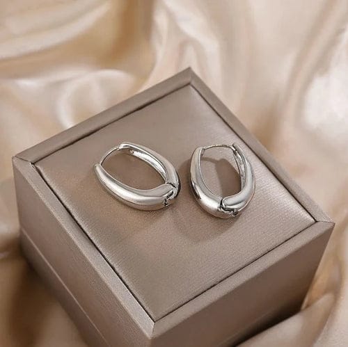 Silvery Hoop Earrings